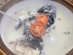-全乐鱼馆·淳牌有机鱼直营店
