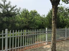 -巴倒烫陆派火锅(捉马东大街店)