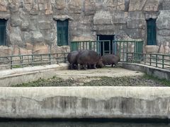 -哈尔滨北方森林动物园