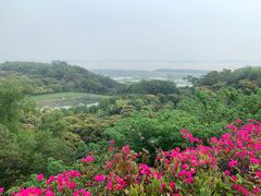 -广州莲花山旅游区