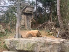 -宁波野生动物园