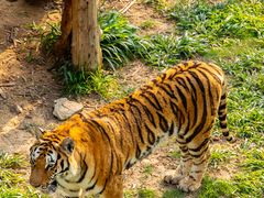 -泉州海丝野生动物世界