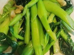 广东菜心-多多旺港式茶餐厅(新区店)