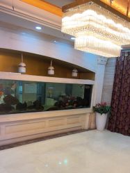 -武汉五洲整形外科医院