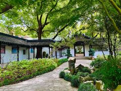 -上海醉白池公园