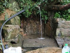 -杭州半山国家森林公园