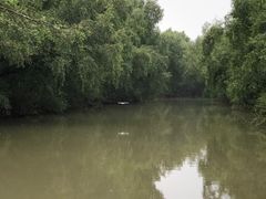 -大湾区中央湿地公园