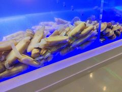 -马哥孛罗酒店·SAVVY全日餐厅