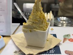 -野人先生现做冰淇淋(西安赛格店)
