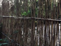 -九鼎轩脆毛肚火锅(商业街店)