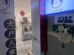 -楼上猫咖(罗湖店)