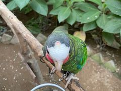 -南宫五洲植物乐园