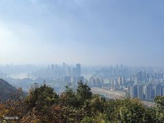 -南山植物园
