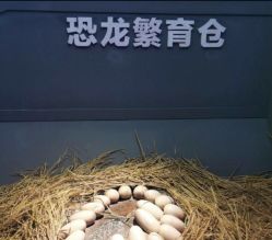 -恐龙探索乐园(磁器口店)