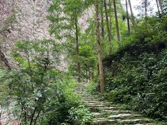 -雁荡山三折瀑景区