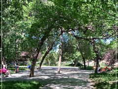 -元大都城垣遗址公园