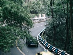 -南山植物园