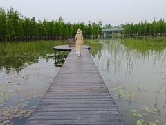 -白鹭湾湿地公园