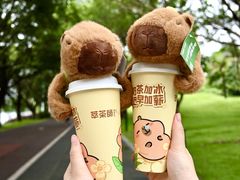 -萃茶师(琅西店)