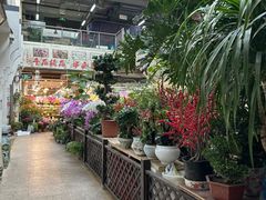 -双季花艺园艺市场(浦东店)