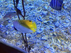 -太平洋海底世界