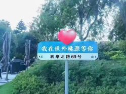 -成都世外桃源酒店-宴会厅·草坪婚礼·会议活动
