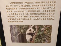 -广州长隆野生动物世界