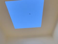 -金泽21世纪美术馆