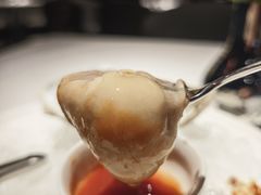 -Oyster Talks 四度蚝法餐厅