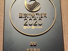 -长安壹号