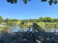 -水前寺成趣园