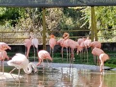 -哈尔滨北方森林动物园