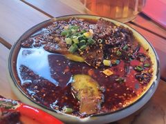 -柴窝堡22号辣子鸡·传承新疆菜