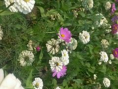 -沕沕水生态风景区