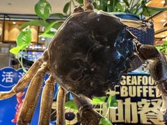 -亚马逊蒸汽活海鲜自助(LCM置汇旭辉广场店)