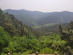 -金龙寺国家森林公园