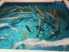 -海鮮市場長崎港(出島ワーフ店)