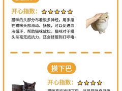 -哆趣宠物医院·眼科·内镜·急重症转诊中心(上海店)