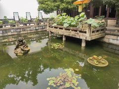 -上海醉白池公园