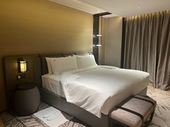 -新加坡瑞士史丹福酒店