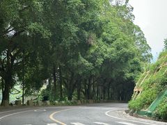-大雁山风景区