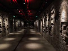 -威尔仕健身(丁香国际店)