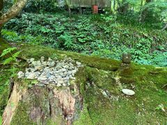 -三千院