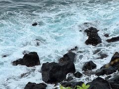 -涉地可支