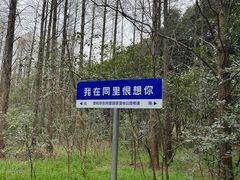 -同里国家湿地公园