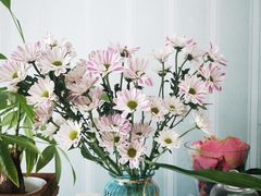 -盒马鲜生(龙德广场店)