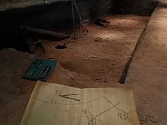 -四川大学博物馆