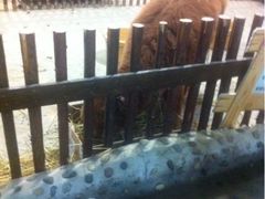 iphone_upload_pic-开元商城(西旺店)