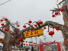 -秦扬居特色菜馆(上王村)
