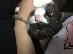 -周记茗点居(西村店)